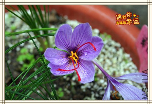 ��Ƭ 118_����.jpg