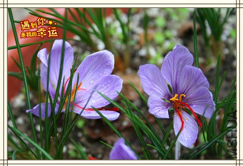 ��Ƭ 121_����.jpg