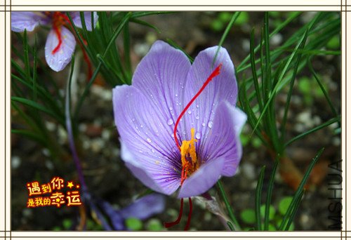 ��Ƭ 123_����.jpg