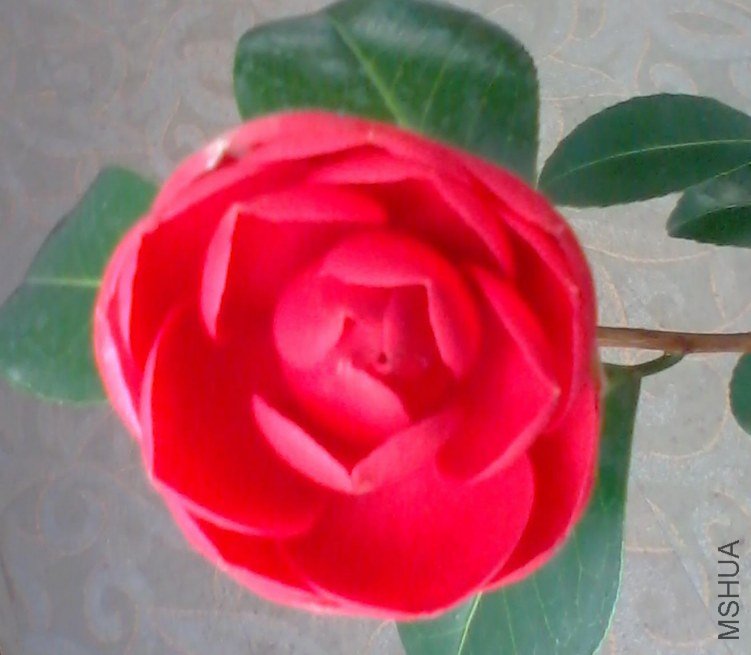 2012-11-08 08.13.41.jpg