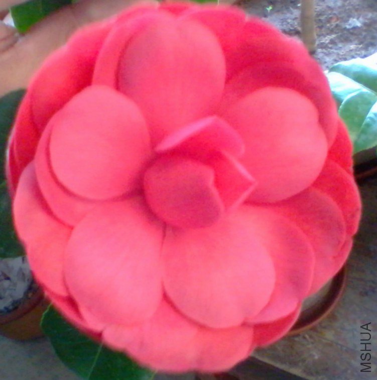 2012-11-09 07.24.43.jpg