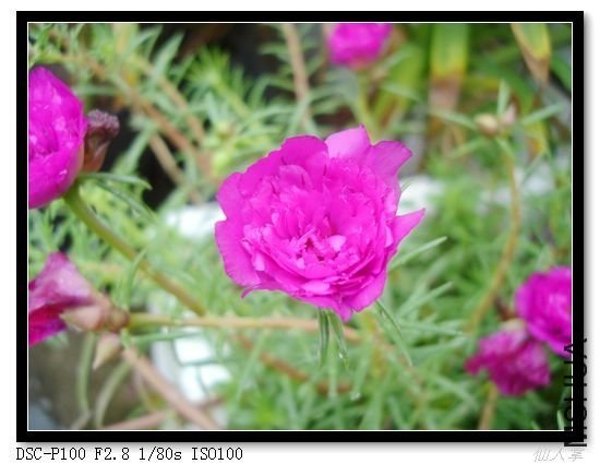 nEO_IMG_DSC04036.jpg