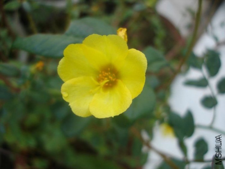 DSC04402.JPG