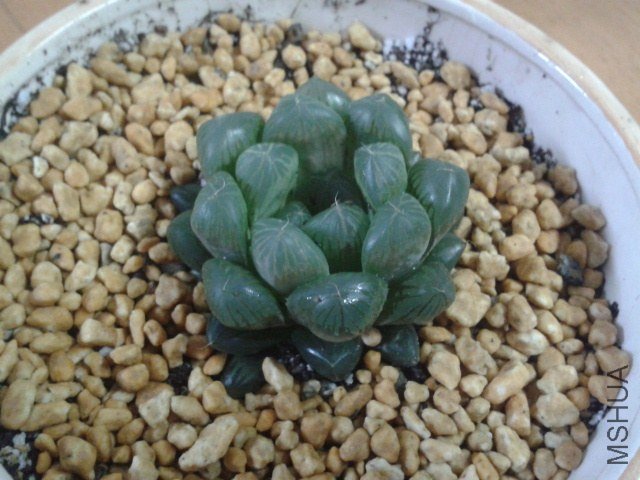 2012-11-09 20.34.29.jpg
