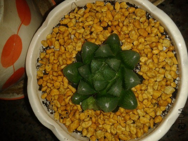 2012-11-09 20.27.18.jpg