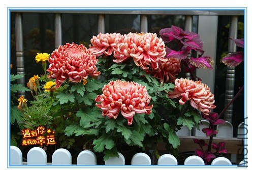 ��Ƭ 094_����.jpg