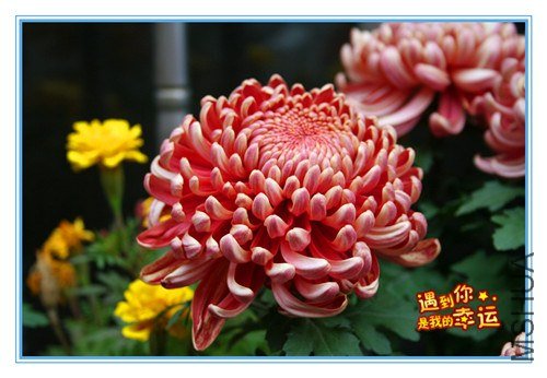 ��Ƭ 095_����.jpg