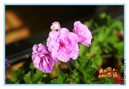 ��Ƭ 004_����.jpg