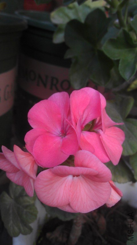 ����֮��