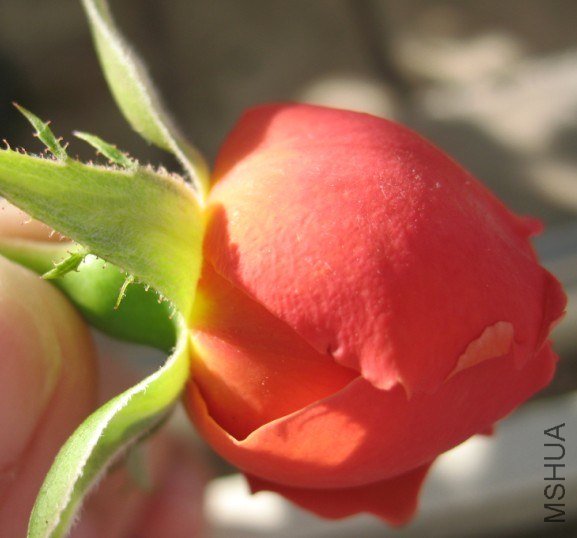 QQ��ͼ20121110140849.jpg