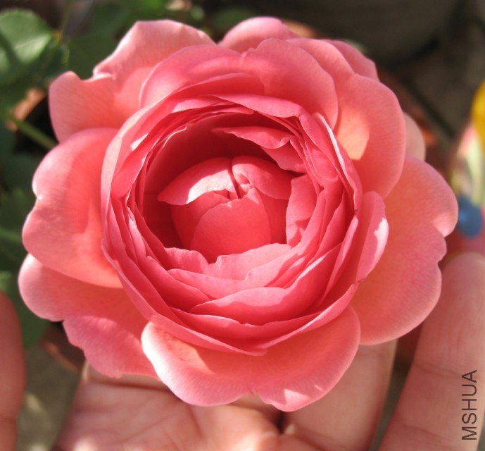 QQ��ͼ20121110141502.jpg