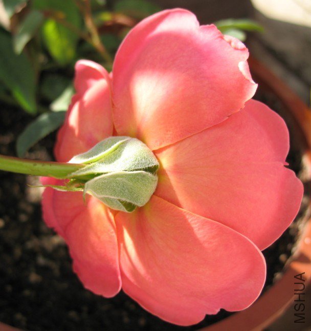 QQ��ͼ20121110141730.jpg