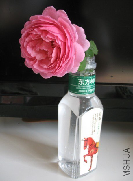 QQ��ͼ20121110142407.jpg