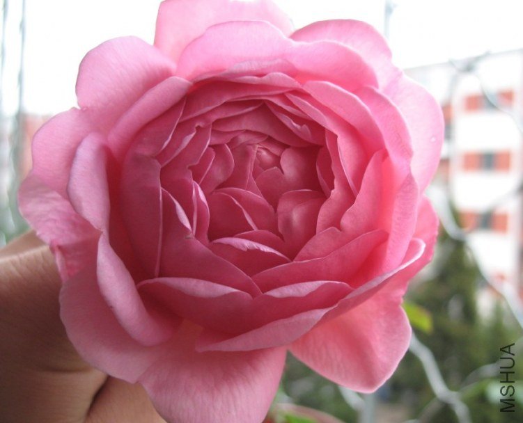 QQ��ͼ20121110142959.jpg