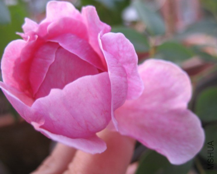 QQ��ͼ20121110150550.jpg