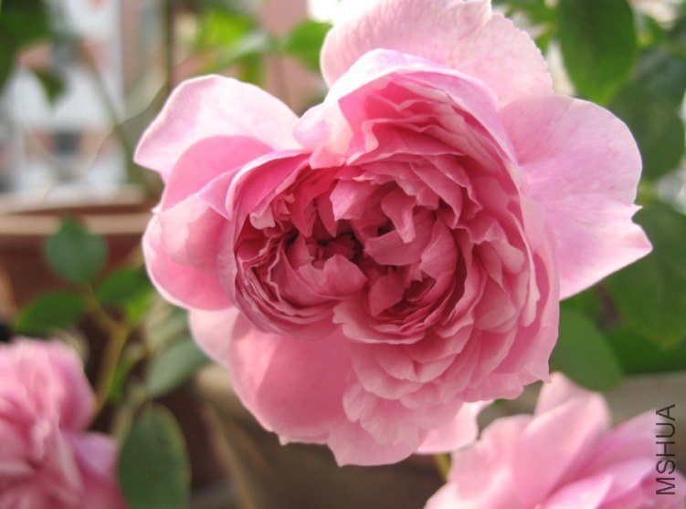 QQ��ͼ20121110151228.jpg