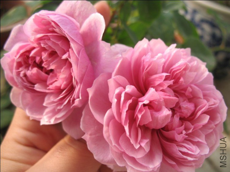 QQ��ͼ20121110151527.jpg