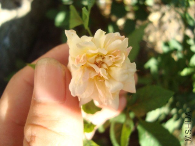 7�³���