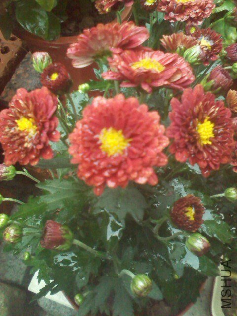 ����ҵľջ����ˣ��԰��