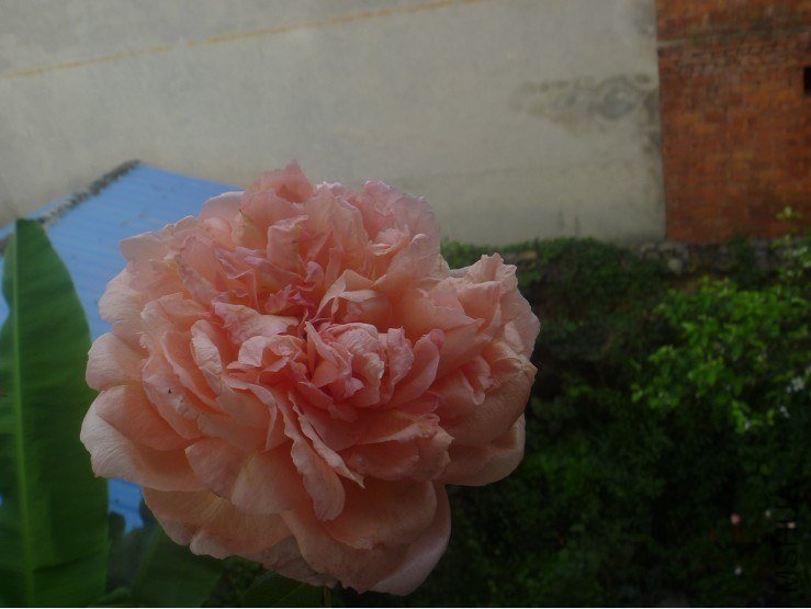 ���� (1).jpg