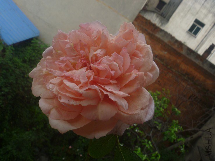 ���� (2).jpg