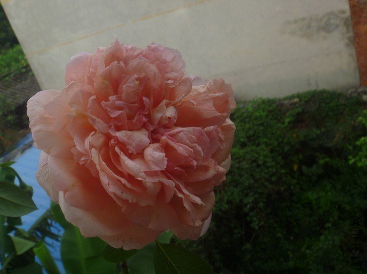 ���� (3).jpg