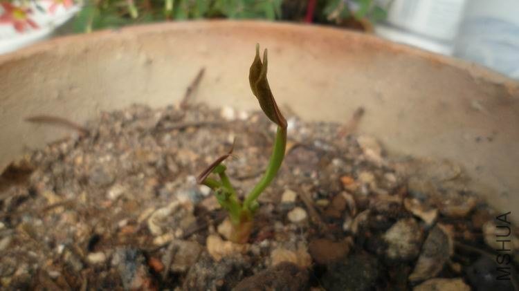 �ö��Ķ��仹û�ſ������Ѿ��ȳ�������