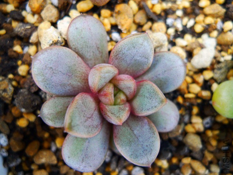 P1000815_����.jpg