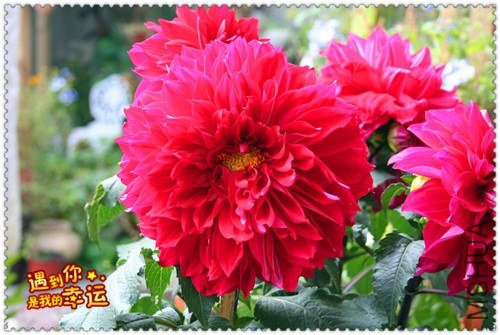 ��Ƭ 038_����.jpg