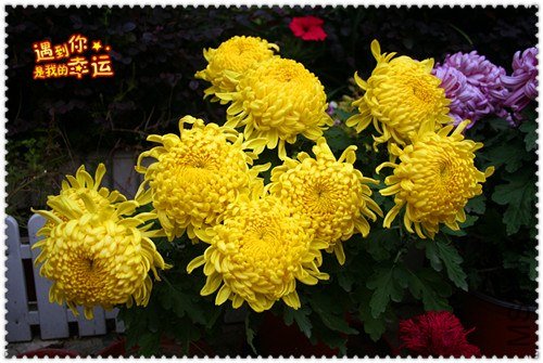 ��Ƭ 072_����.jpg