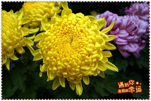 ��Ƭ 076_����.jpg