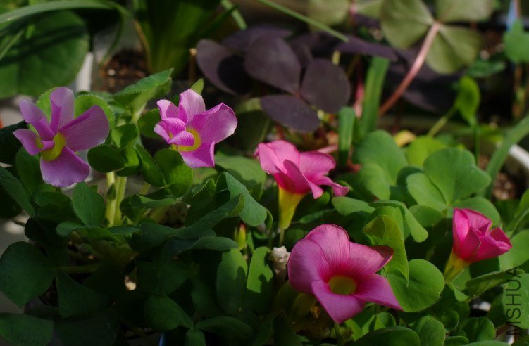 ZQ108446.jpg