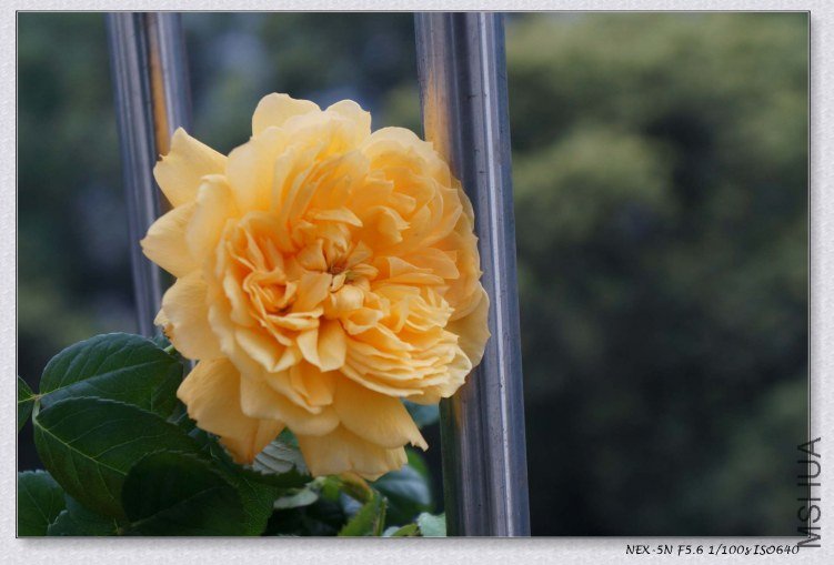 nEO_IMG_DSC00587.jpg