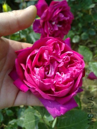 201105071225.jpg