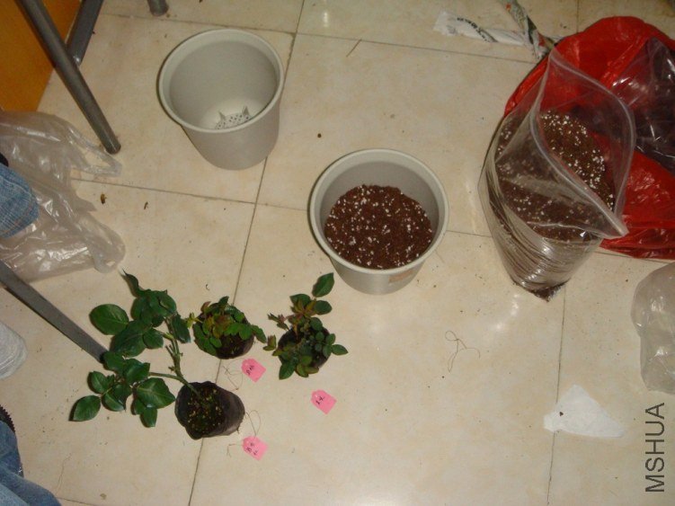 DSC01486.JPG
