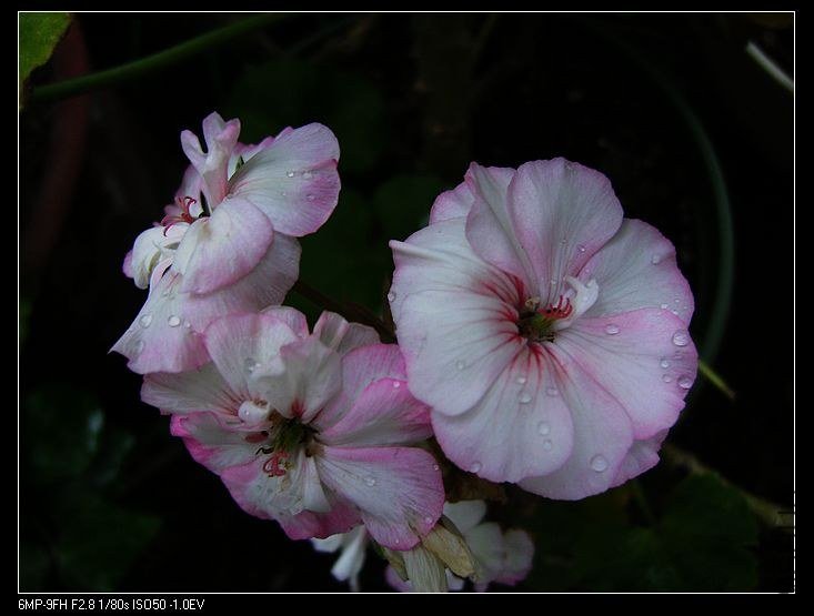 PICT5760.jpg