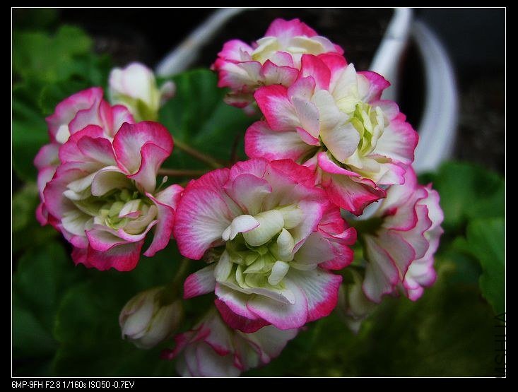 PICT5872.jpg