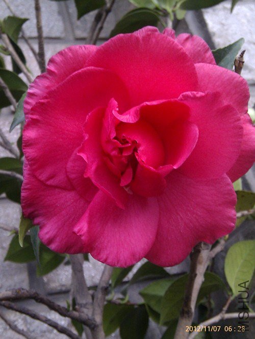 imag1005_����.jpg