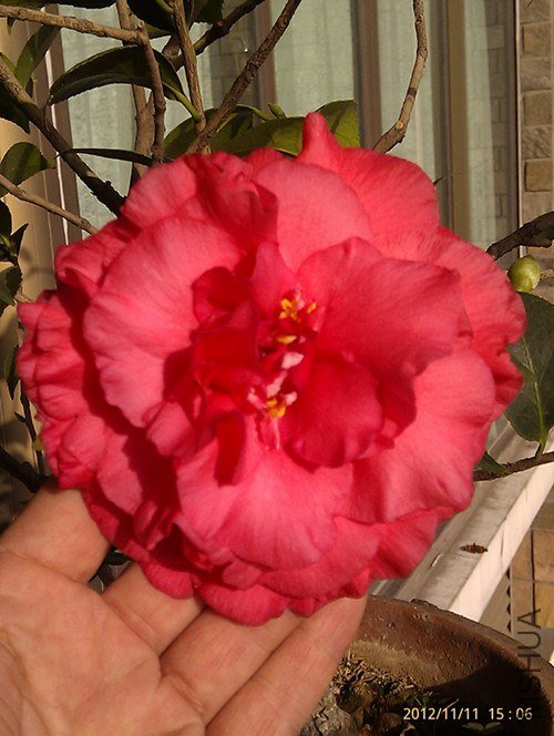 imag1023_����.jpg