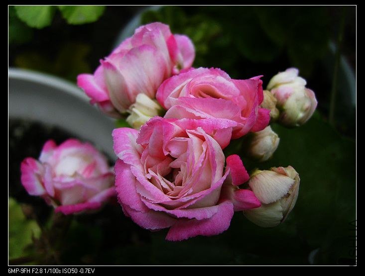 PICT5880.jpg