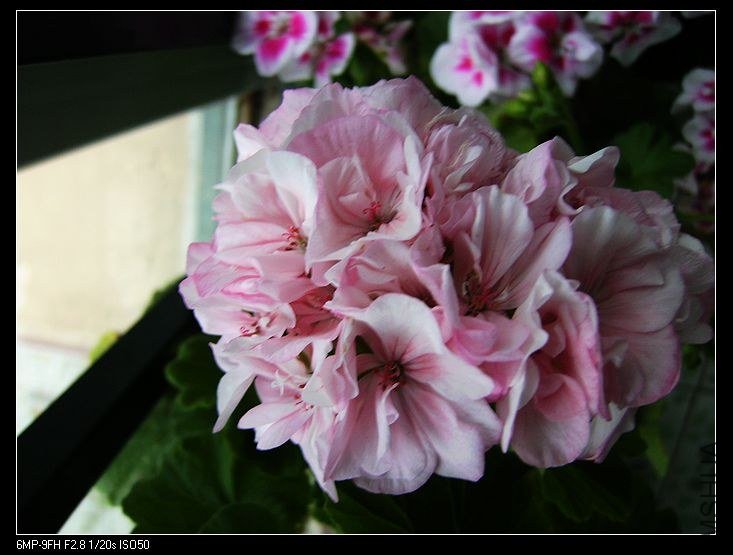 PICT6158.jpg