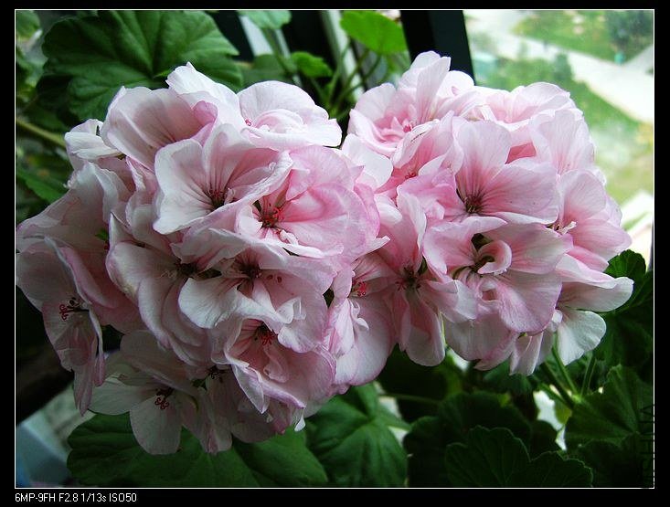 PICT6157.jpg