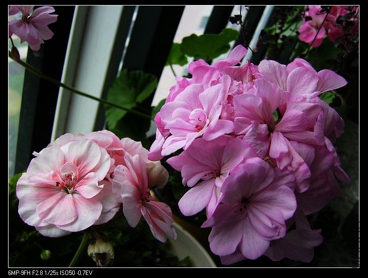 PICT6155.jpg