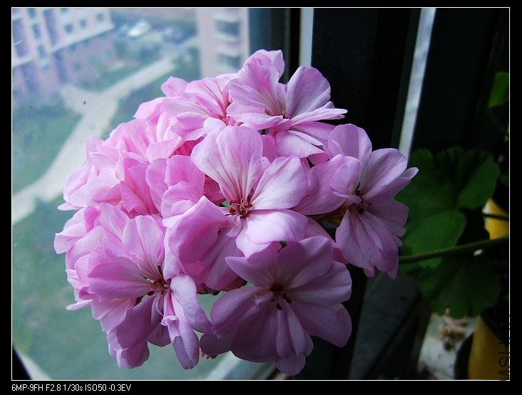 PICT6156.jpg