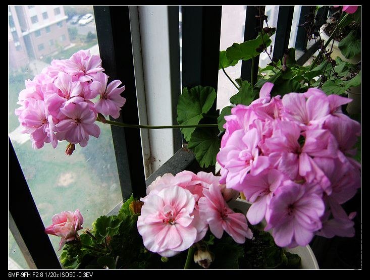PICT6159.jpg