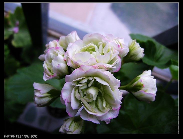 PICT6164.jpg