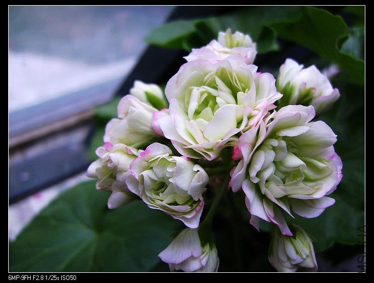 PICT6165.jpg
