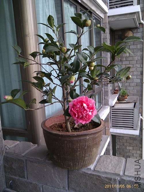 IMAG0403_����.jpg