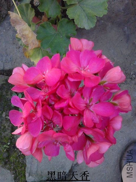 IMG_20121011_090332.jpg