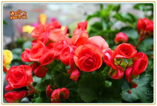 ��Ƭ 056_����.jpg